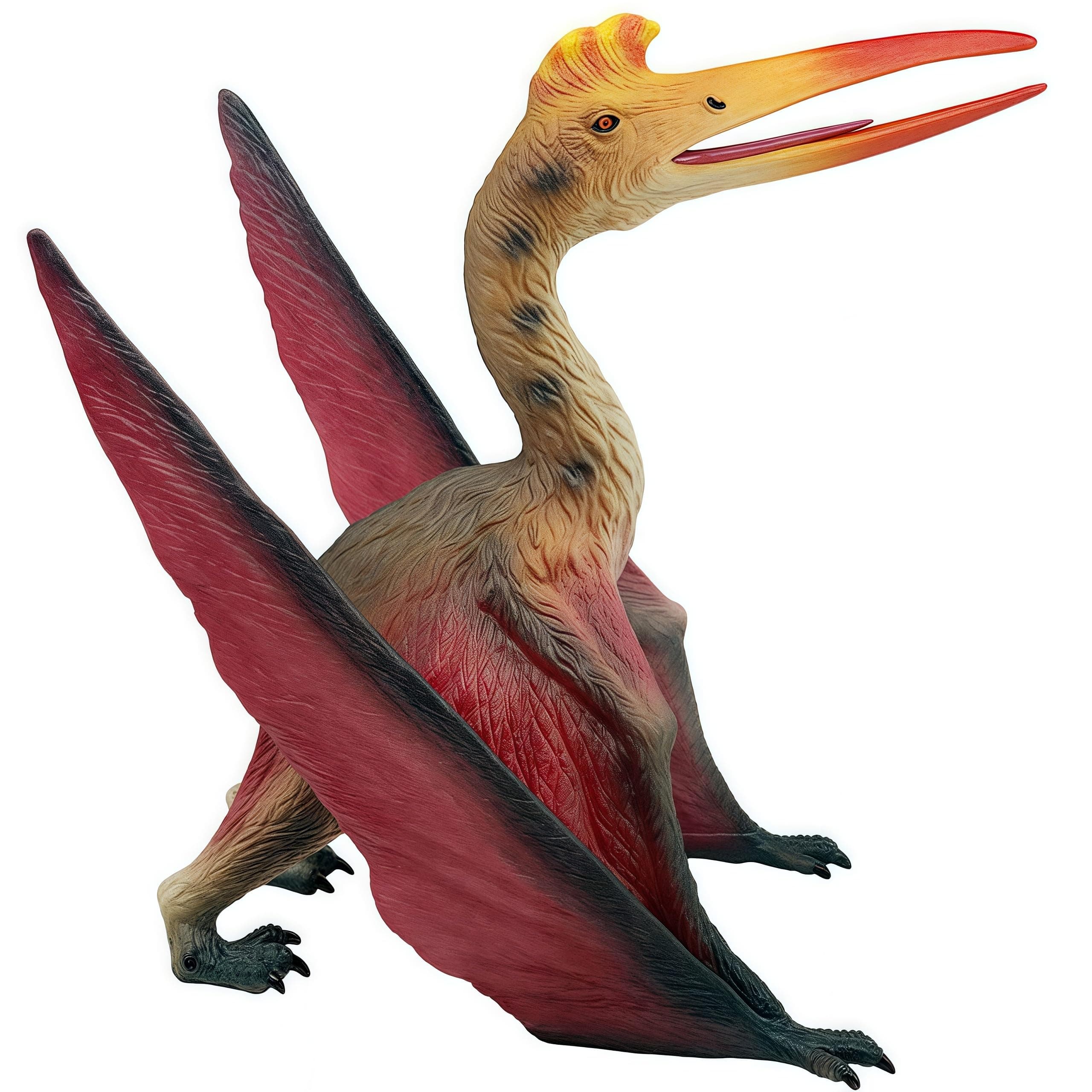 Pteranodon