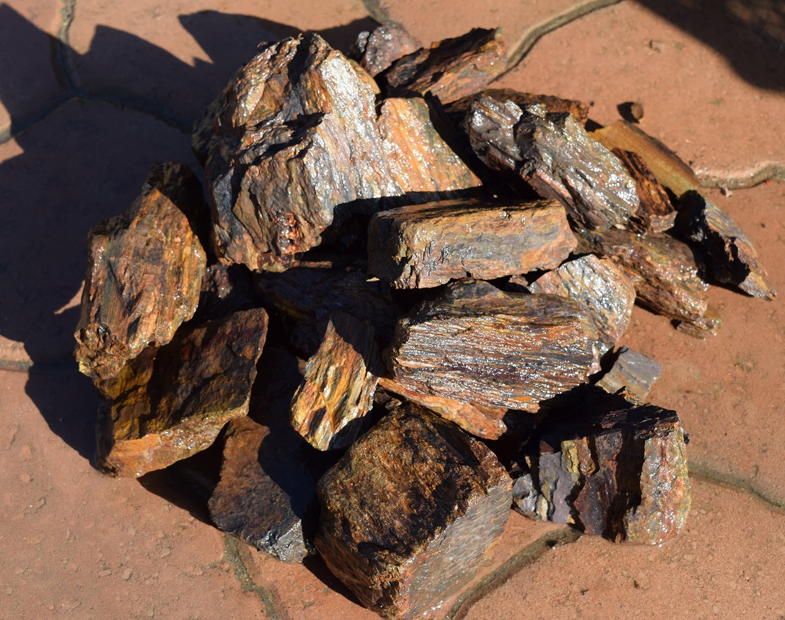 20lb Petrified Wood for Aquariums