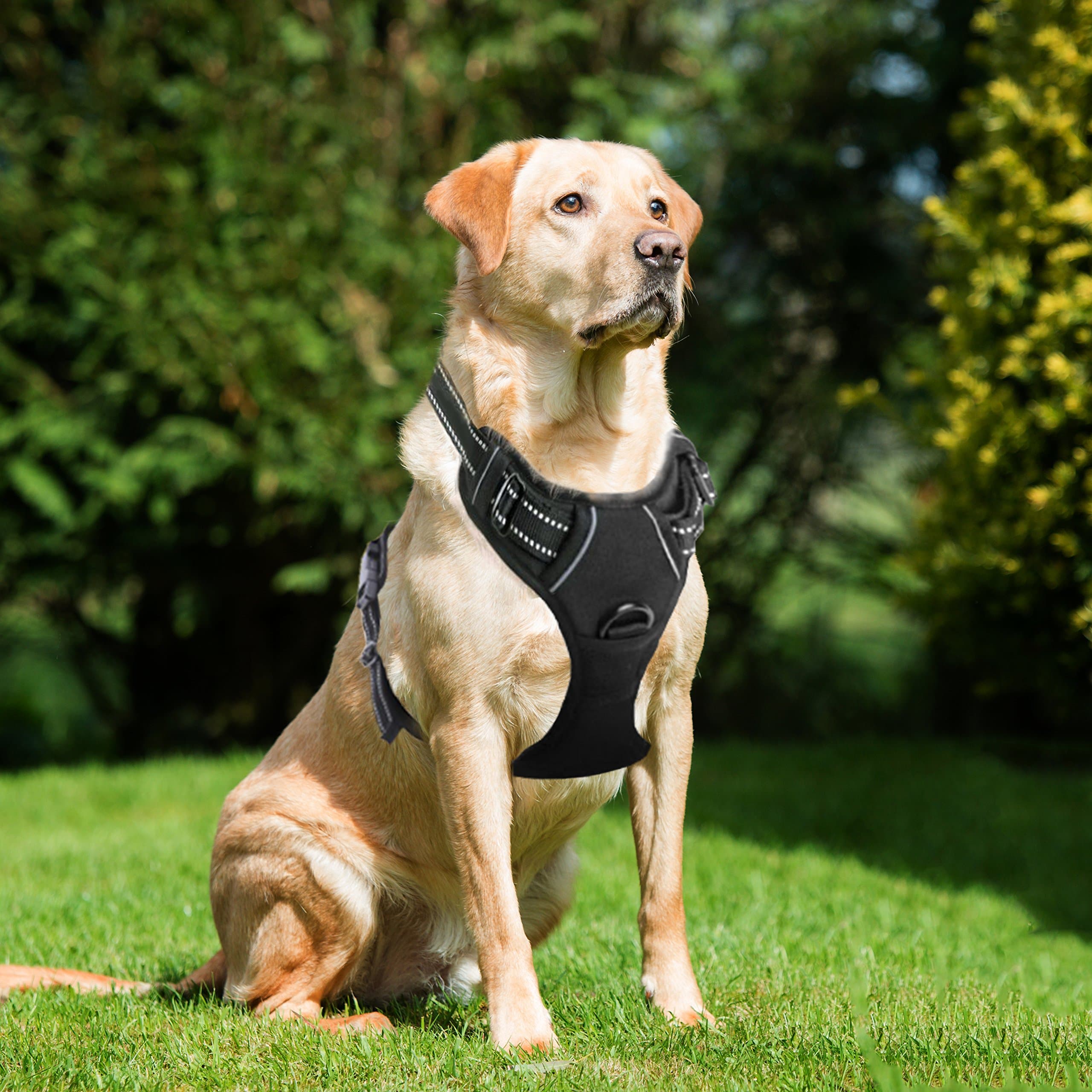 Front Clip No Pull Dog Vest Harness - Dog Body Padded Reflective Vest with Handle - Oxford Material Vest for Dogs Comfort Control for Small Medium Large Dogs in Training &Walking