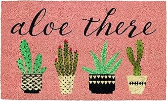 DII Natural Coir Doormat, Decorative Hello Mat, Aloe There, 18x30