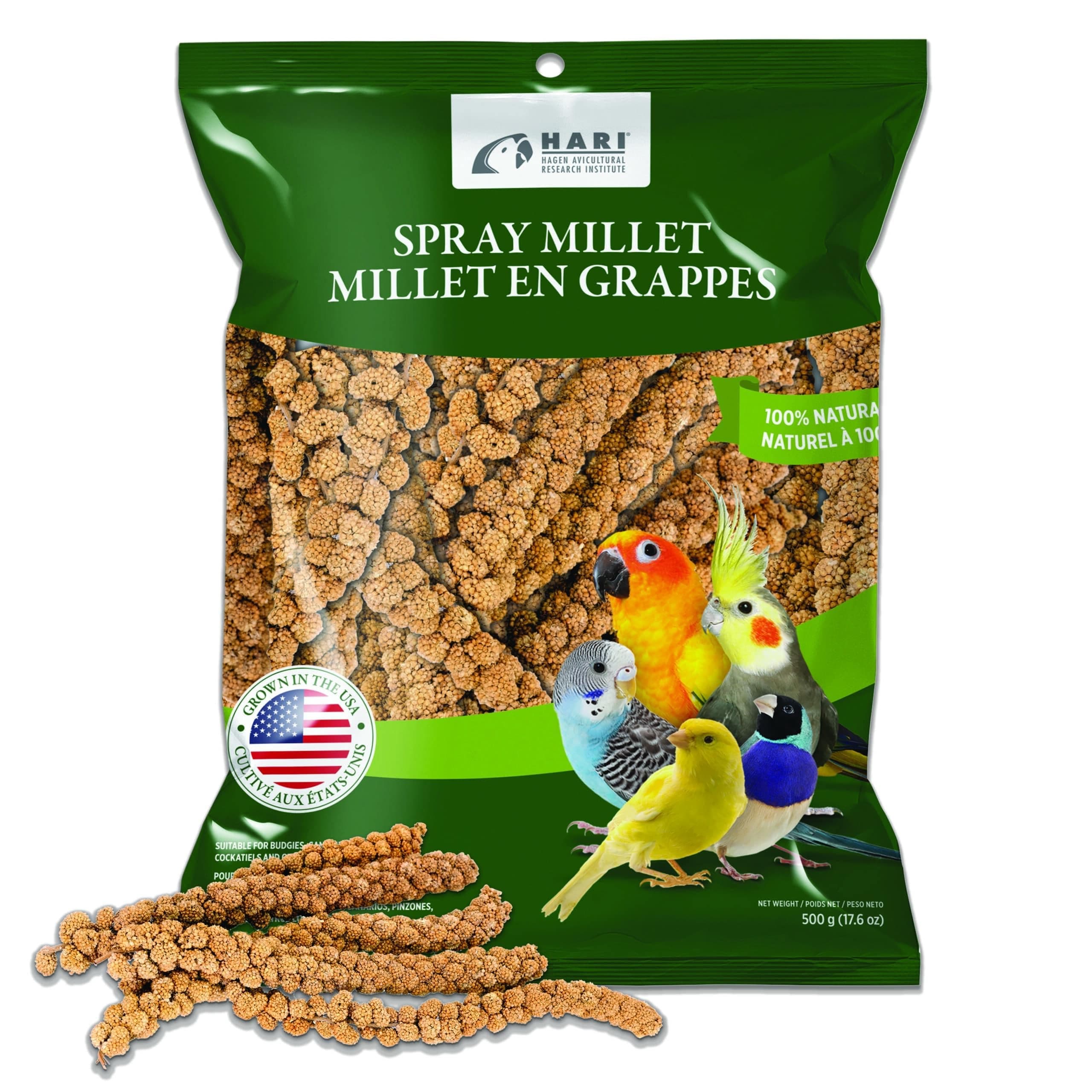 Living World Spray Millet,17.6”.