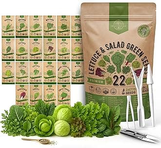 Organo Republic 22 Lettuce & Salad Greens Seeds Variety Pack 24,700+ Non-GMO Heirloom Lettuce Seeds for Indoor & Outdoor Garden, Hydroponic & Aeroponic - 2026 Season - Arugula, Spinach, Swiss Chard