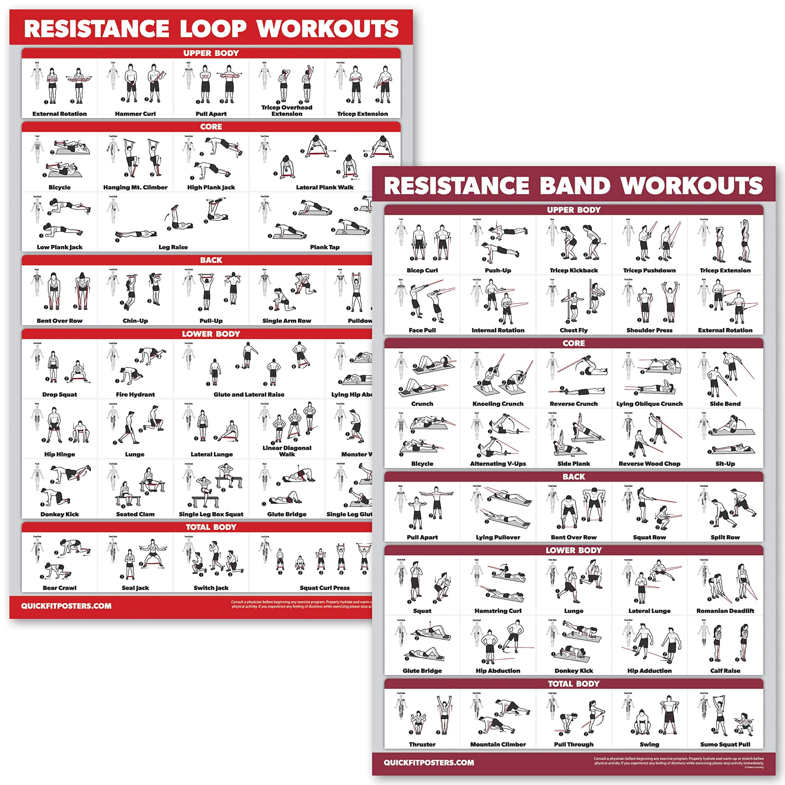 QUICKFIT 2 Pack - Resistance Bands & Loops Workout Posters - Set of 2 Laminated Charts - Resistance Band Tubes & Loops Exercise Charts (Laminated, 18" x 24")