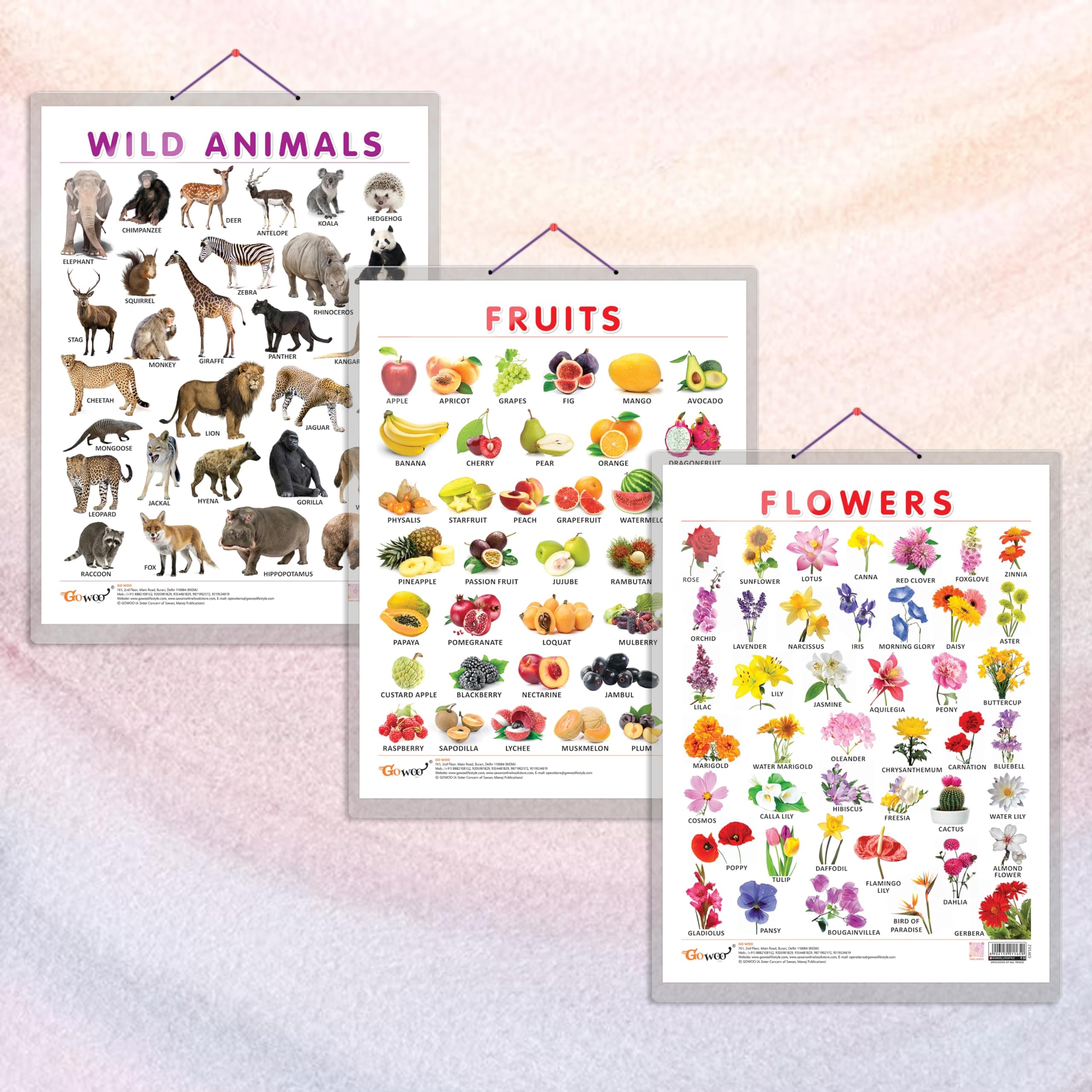 GO WOO FRUITS CHART HARD LAMINATED, FLOWERS CHART HARD LAMINATED, and WILD ANIMALS CHART HARD LAMINATED | combo of 3 charts | Laminated Learning in Nature's Realm