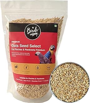 The Birds Company Premium Oats Seed Select, Fortified with Spirulina, Bird Food for Finches, Budgies, Conures, Lovebirds, Cockatiels, African Grey, Macaws, Cockatoo, 450 g