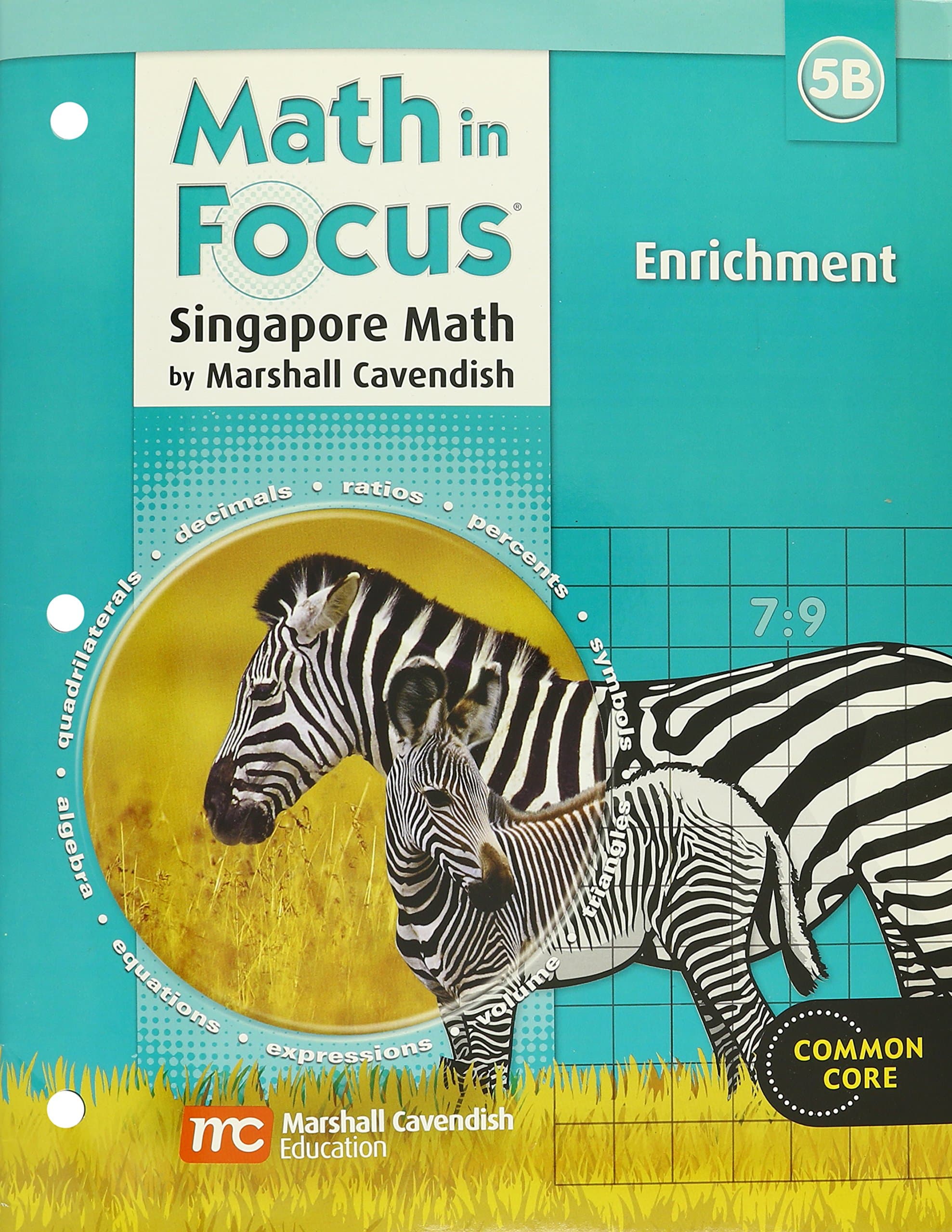 Enrichment Workbook Grade 5: Book B (Math in Focus: Singapore Math)