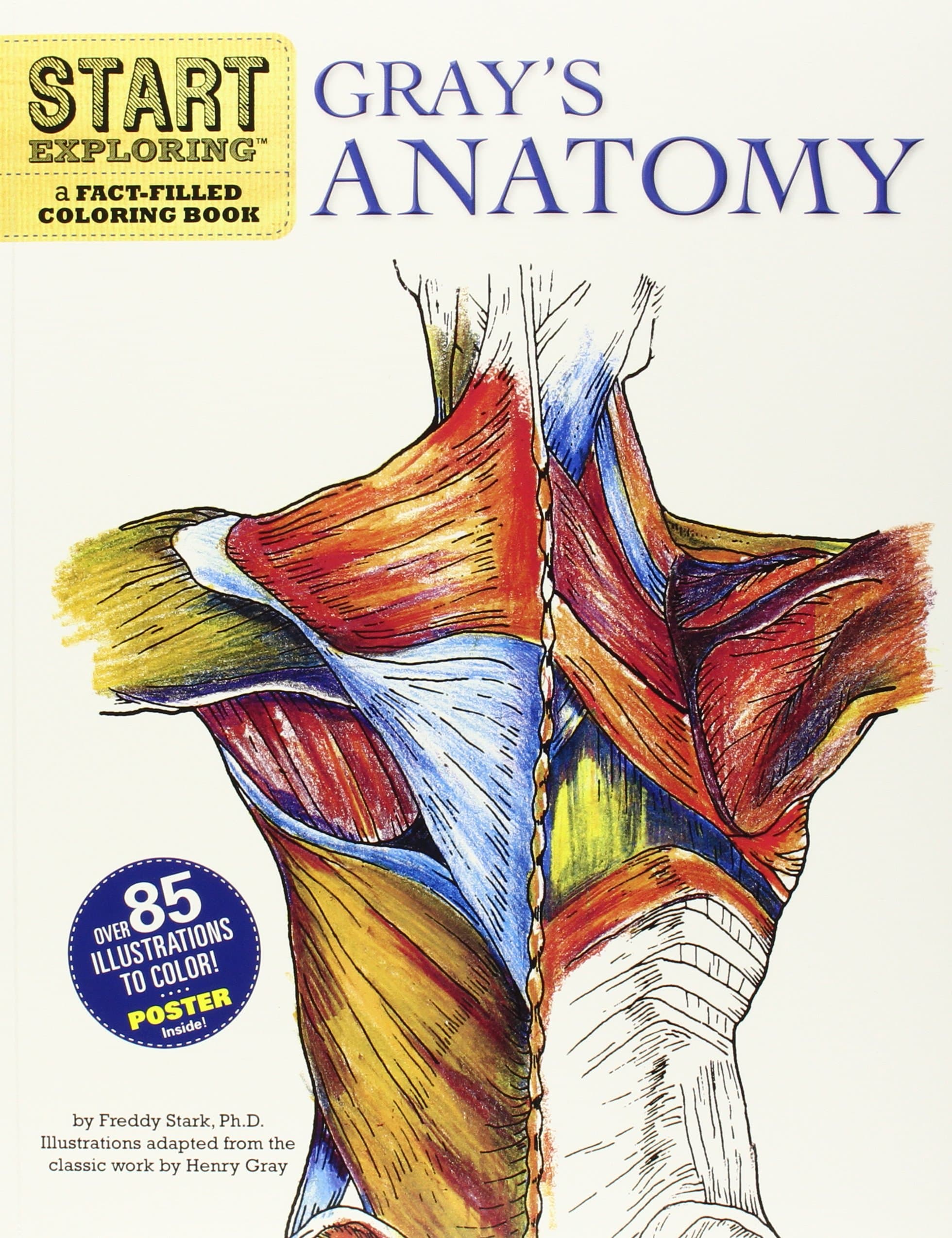 Gray's Anatomy: A Fact-Filled Coloring Book