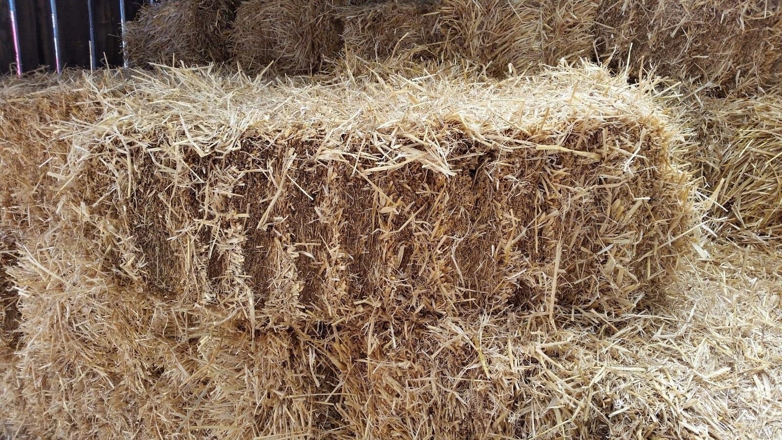 Handy Size Barley Straw Bale - Feed Quality (90cm x 50cm x 40cm)