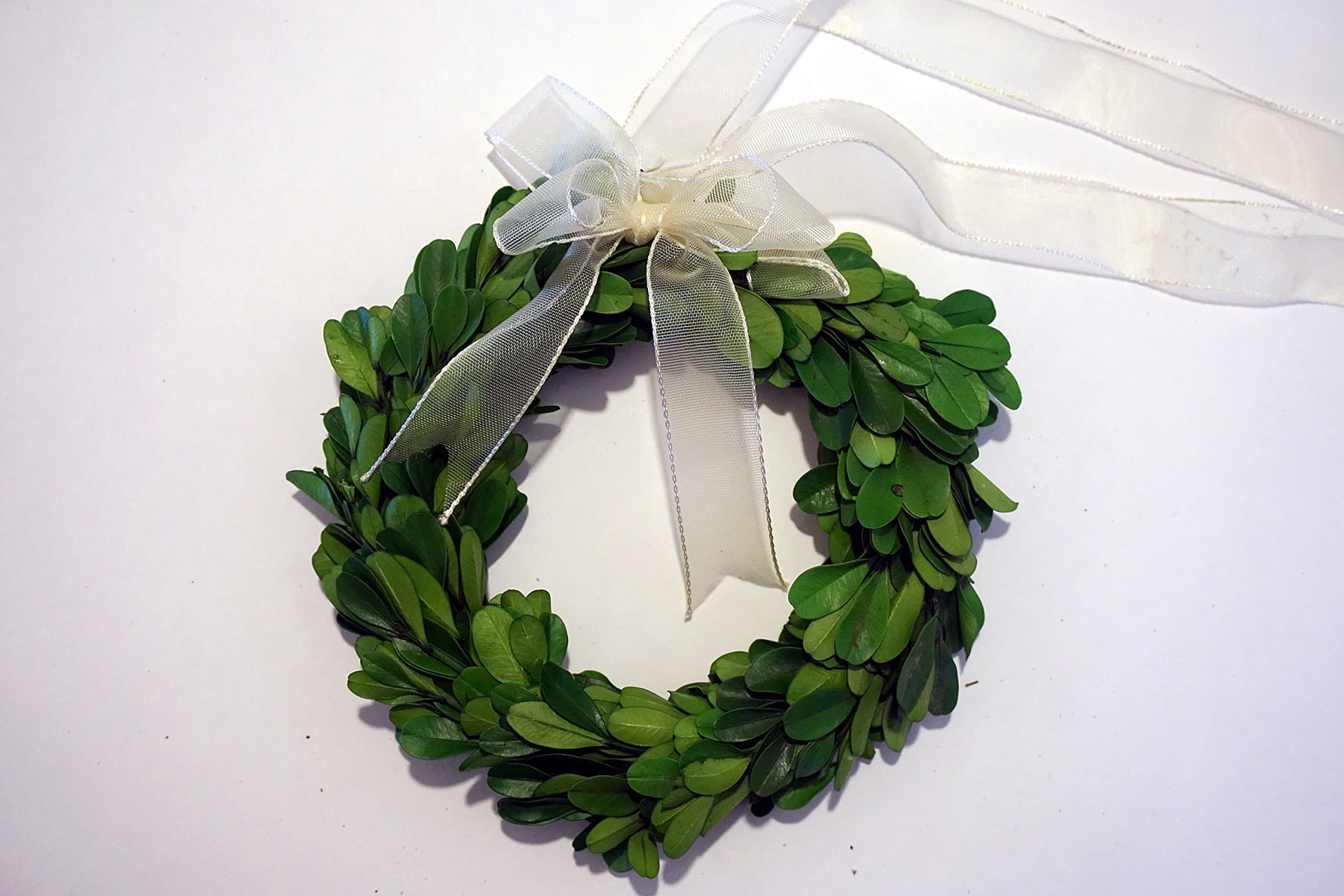 Preserved Boxwood Wreath 6 in