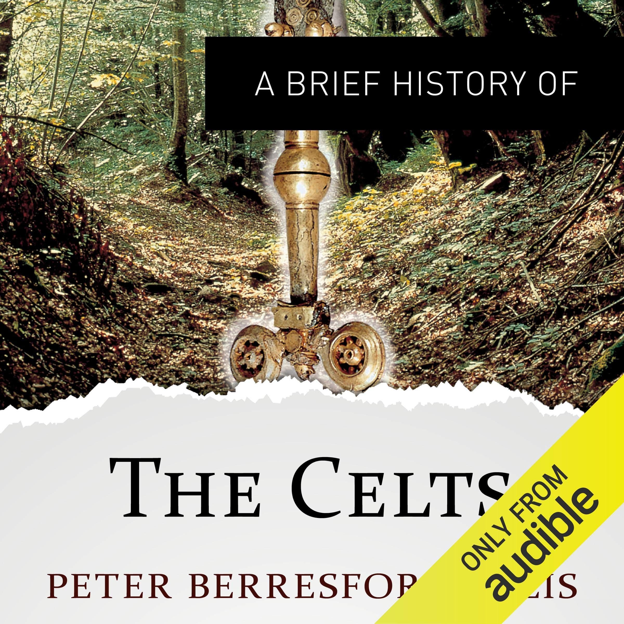 A Brief History of the Celts: Brief Histories