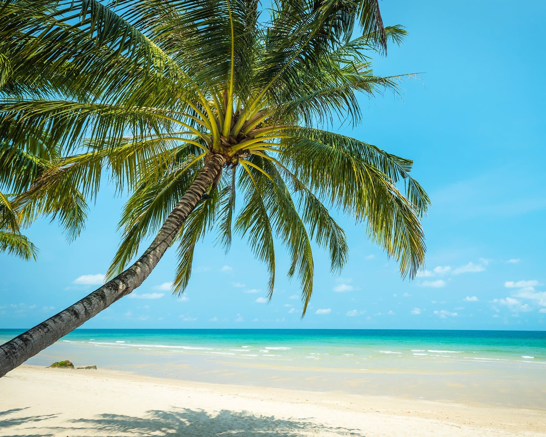 Wall Rogues WR50525 Paradise Beach - Paste The Wall Wallpaper Mural - 300cm x 240cm - Blue