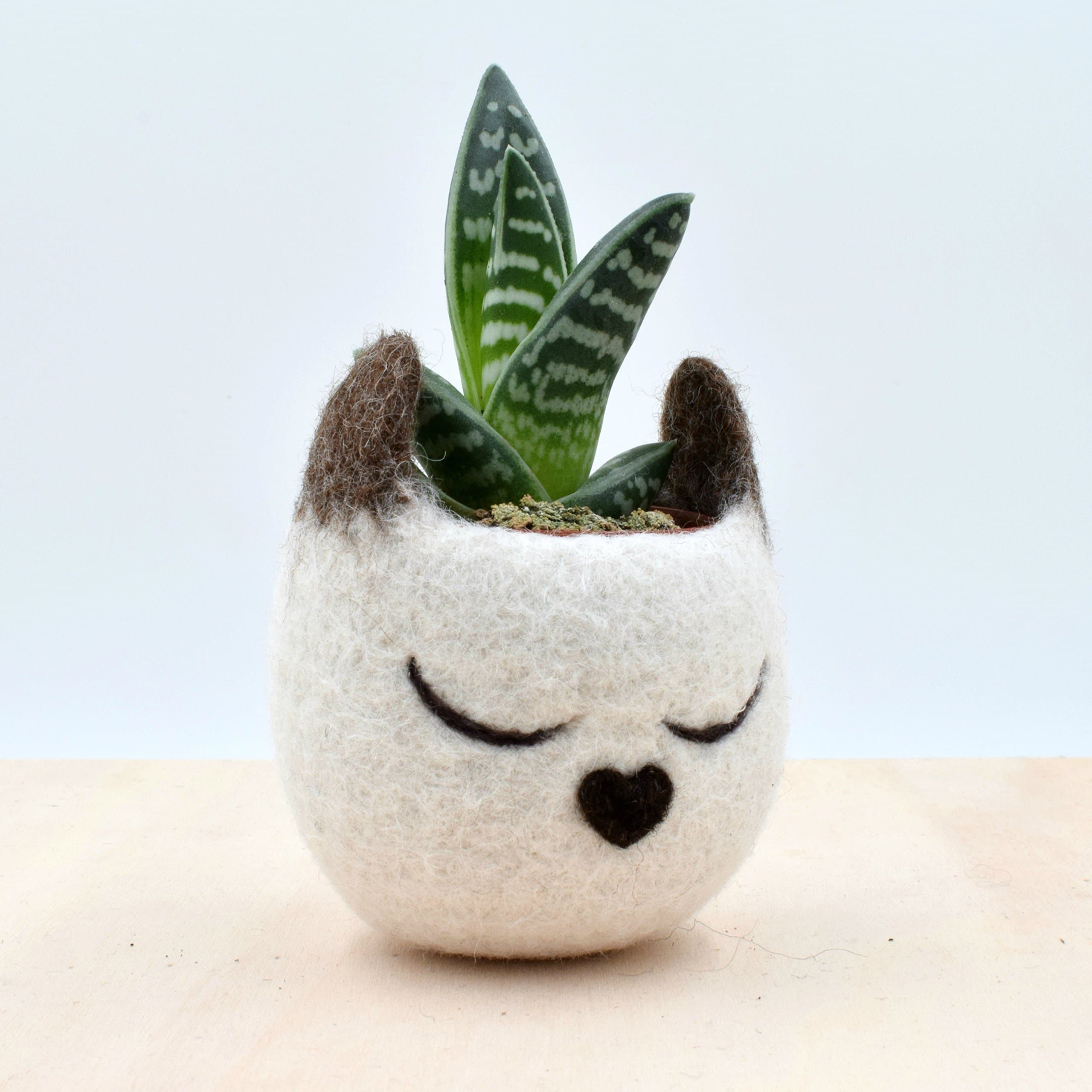 Siamese Cat lover gift for her / Felt succulent planter / Decorative Felt Flower Pot / Small indoor planter
