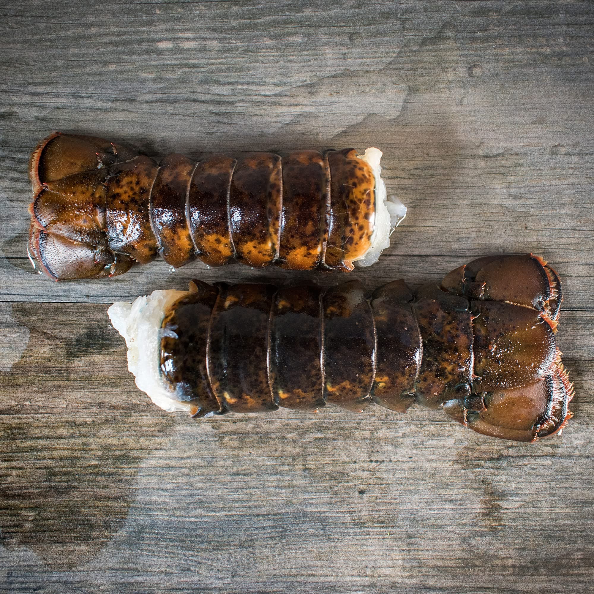 6 oz Maine Lobster Tails (6 Tails)