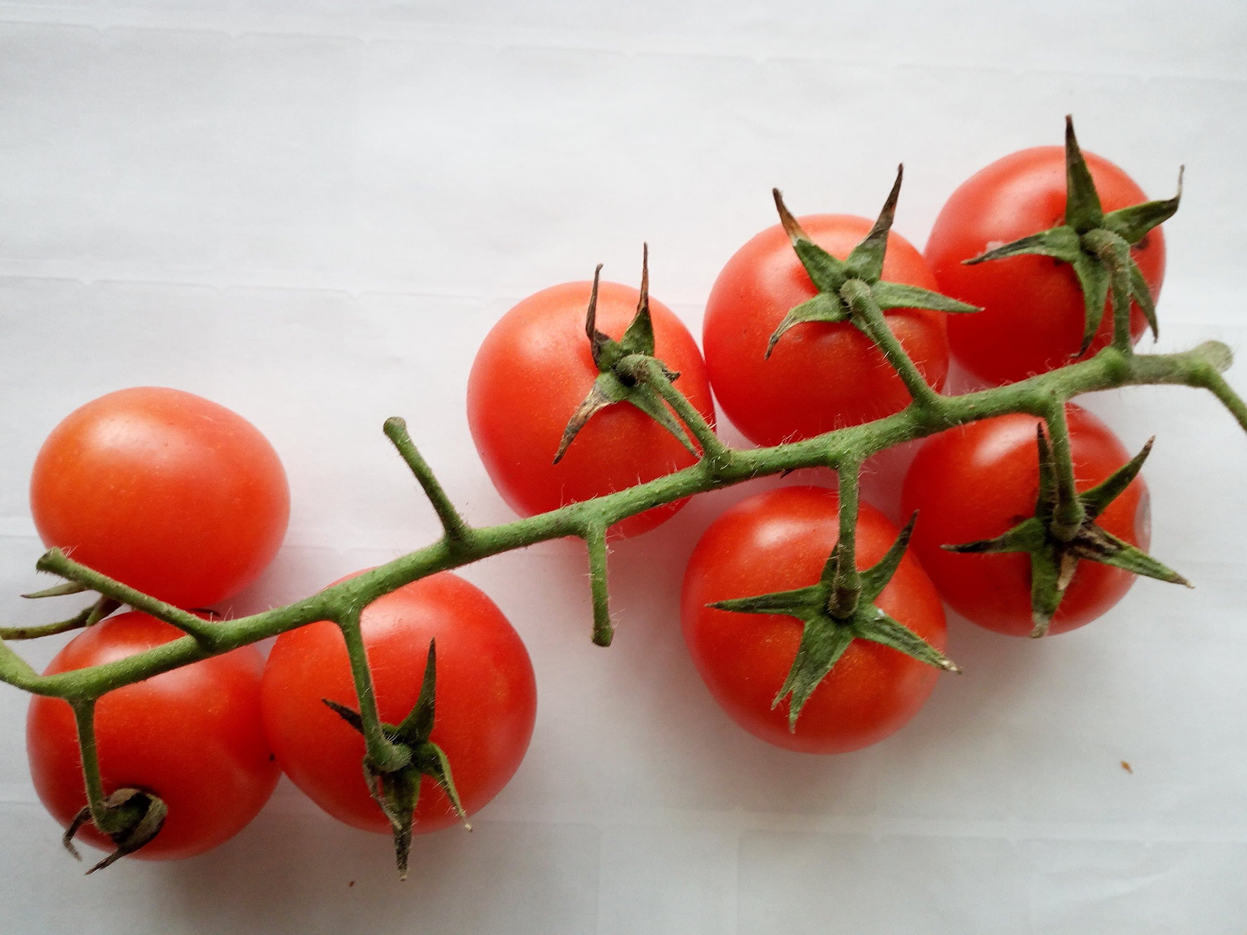 SEEDS TOMATO CILIEGINO DI PACHINO