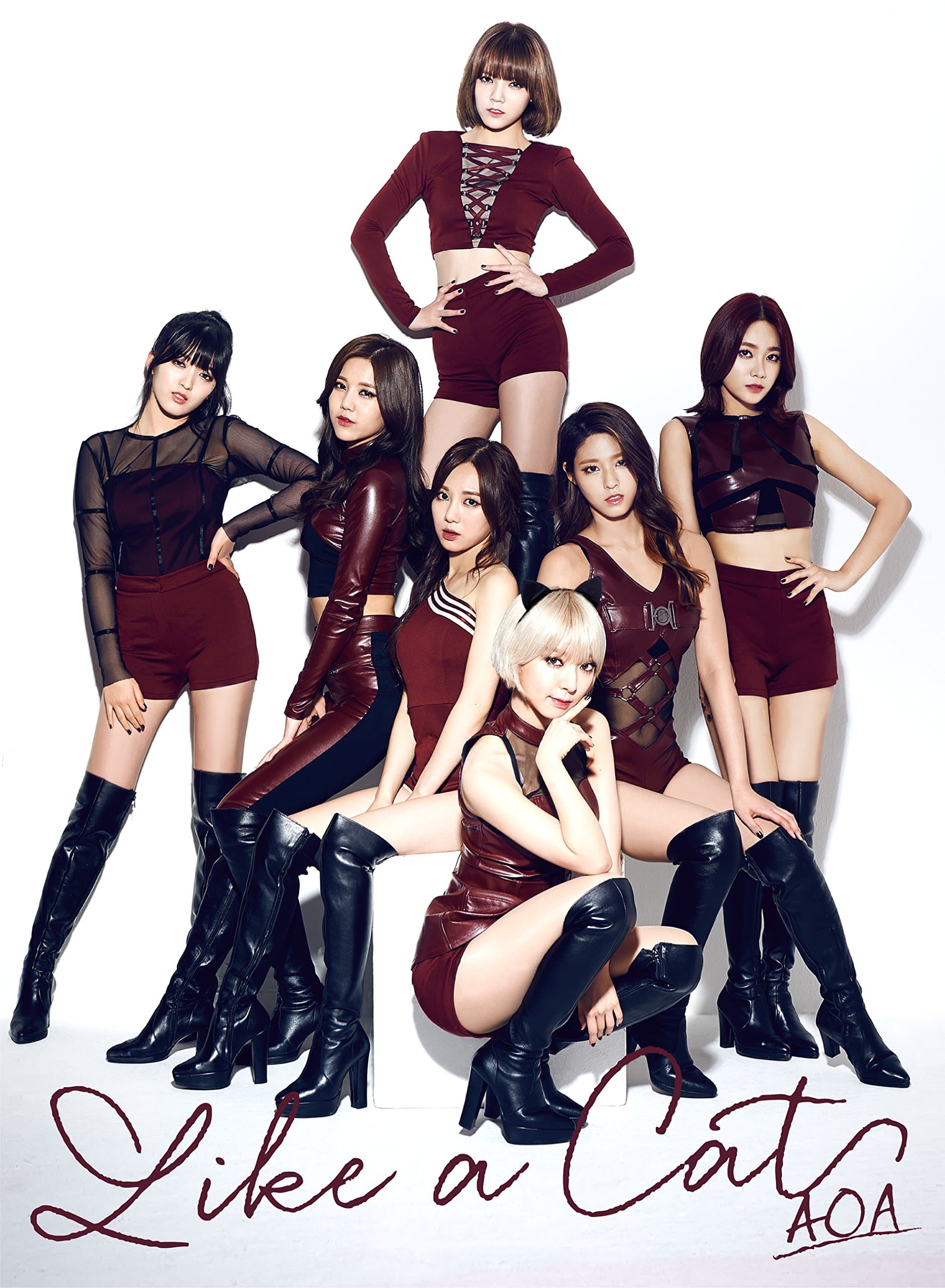 Aoa - Like A Cat (Type B) (CD+PHOTO CARD) [Japan CD] UICV-9088