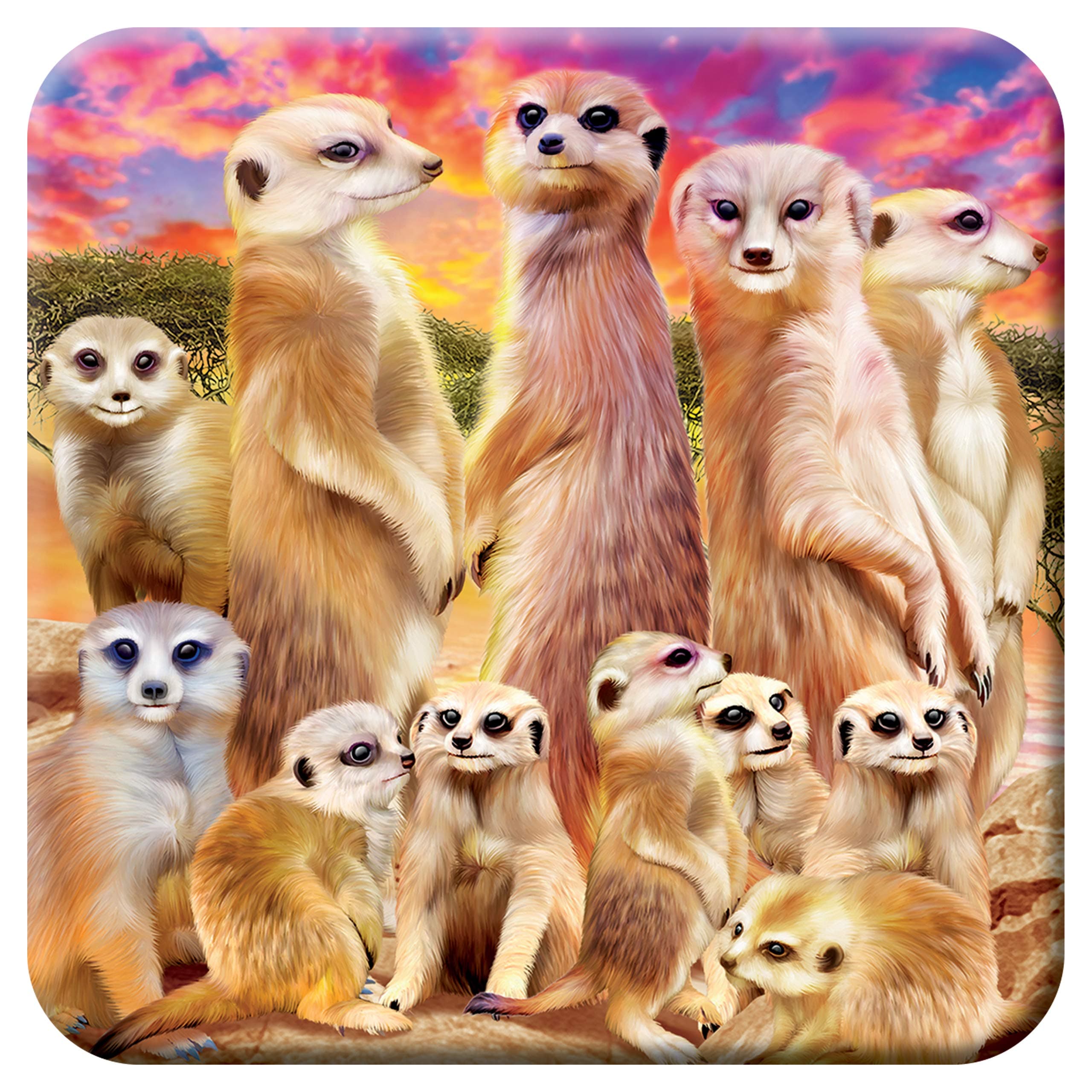 Cork Coaster - Cool Meerkats from Deluxebase. Drinks Coaster with Lenticular 3D Animal Image. Non-Slip Protective Table Drink Mat for Home Decor and Decorative Accessories.