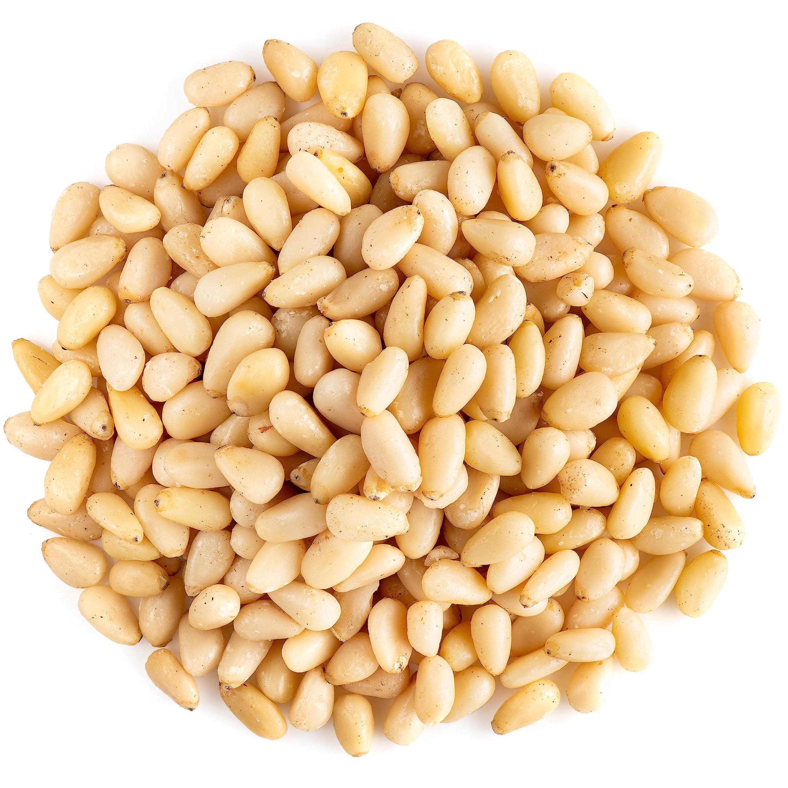Pine Nut