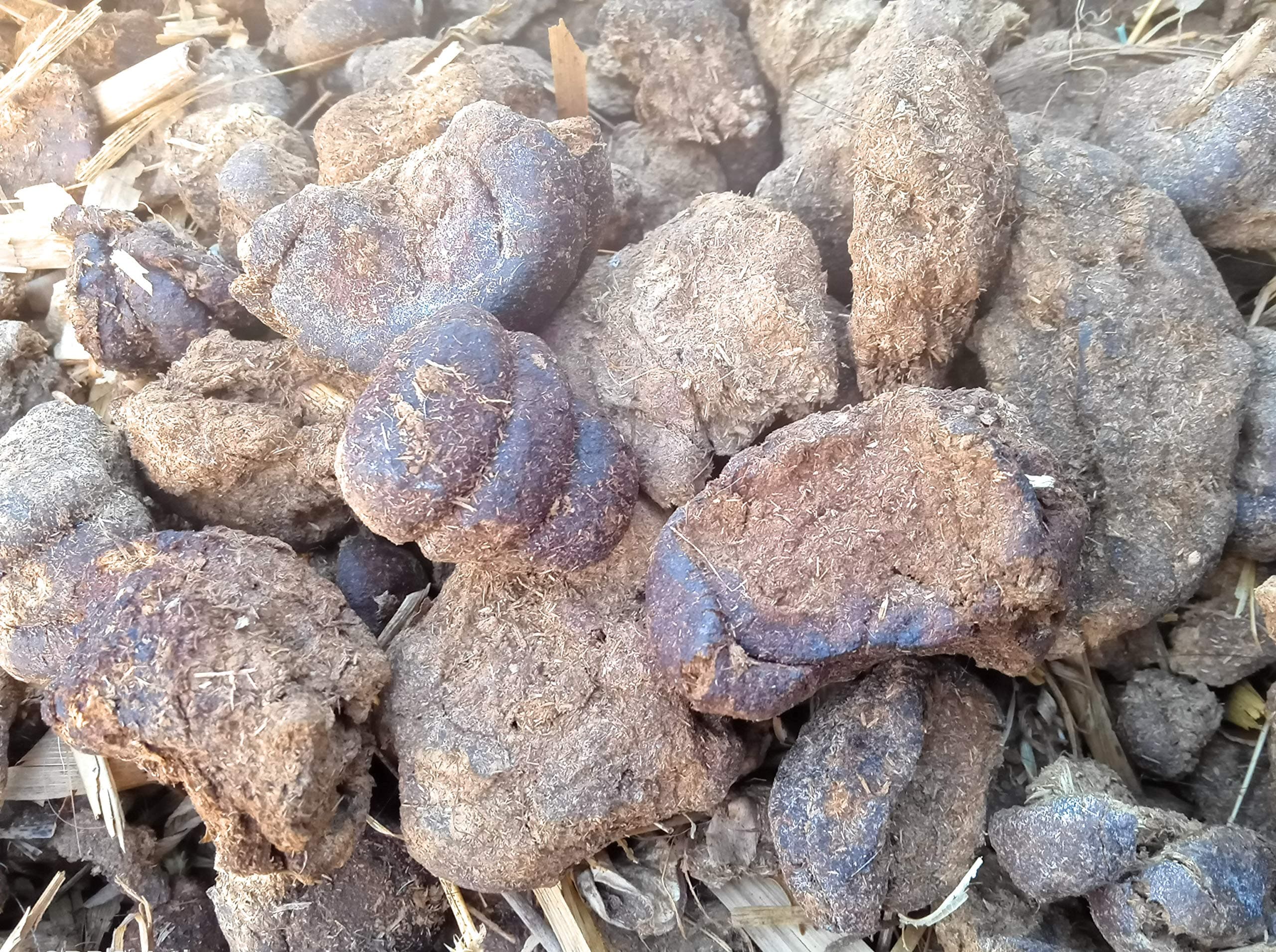 Cow Dung Manure (900g)
