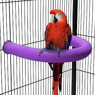 FrgKbTm U Shape Parrot Perch Stand Toy Bird Platform Sand Paw Grinding Clean Stick Exercise Conure Budgie Cockatiel Cage Accessories (Purple)