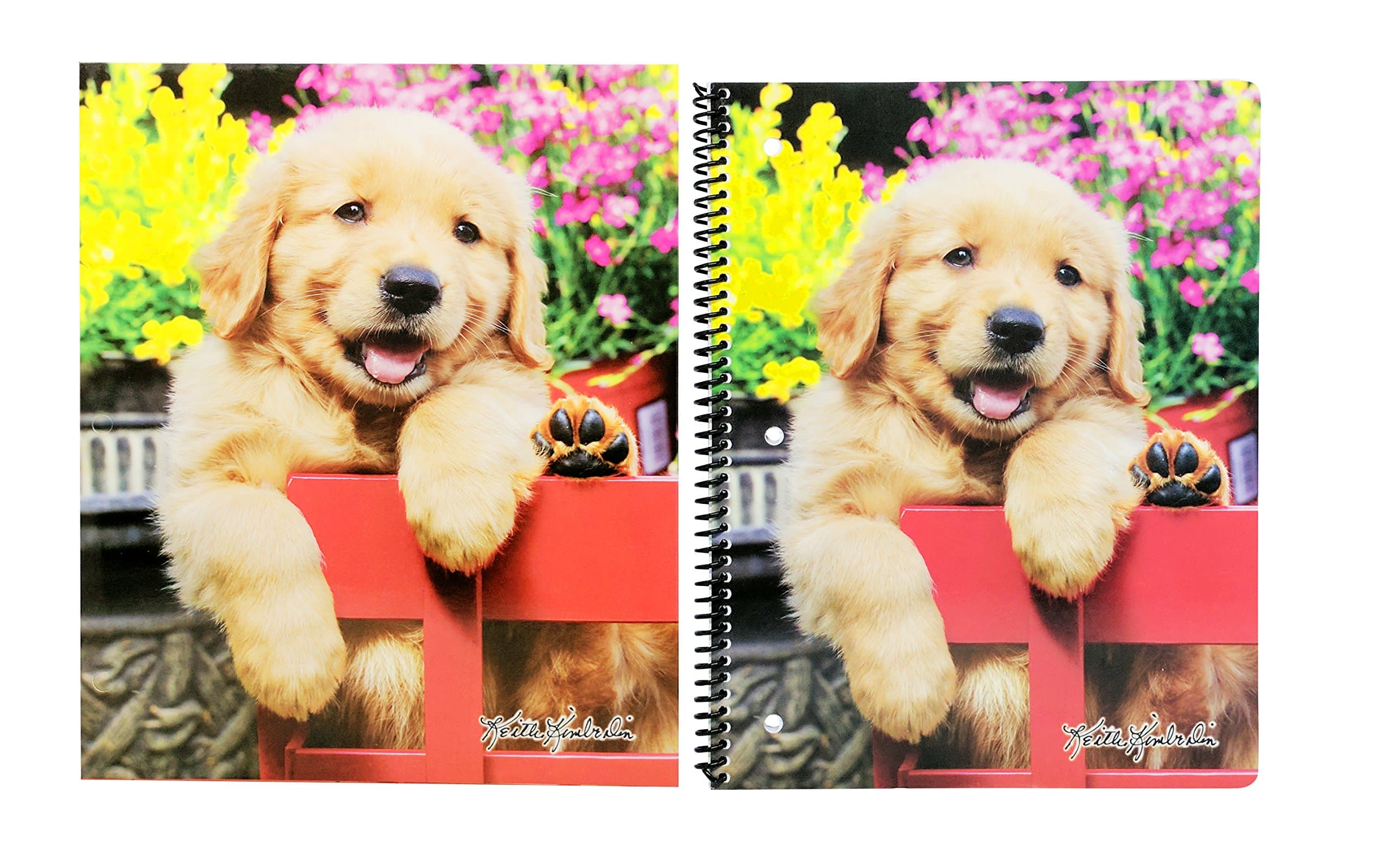 Cute Puppy or Kitten Back To School Set – Pocket Folder and Spiral Notebook (Golden Retriever)
