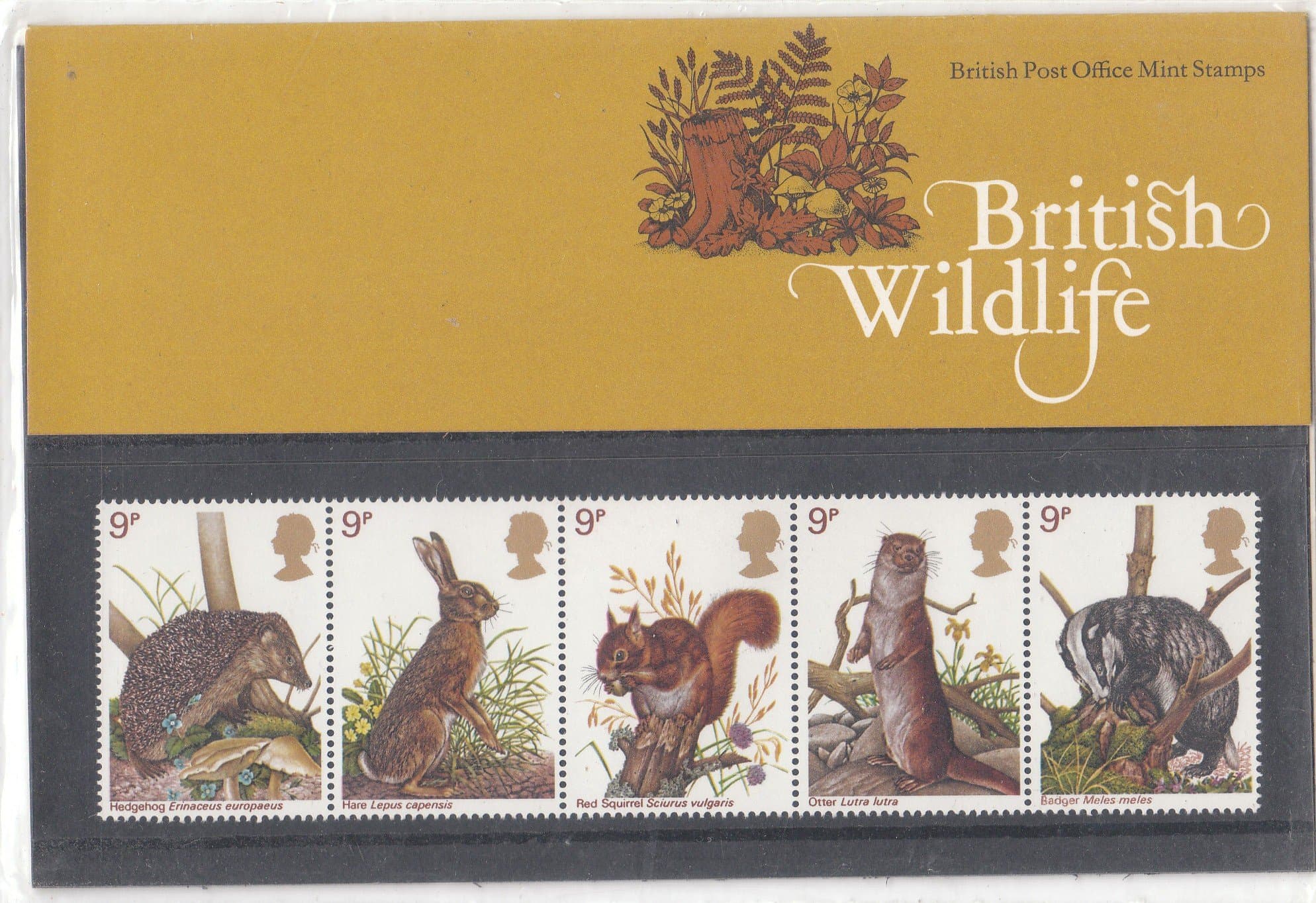 1977 British Wildlife Presentation Pack PP81 (printed no. 96) - Royal Mail Stamps