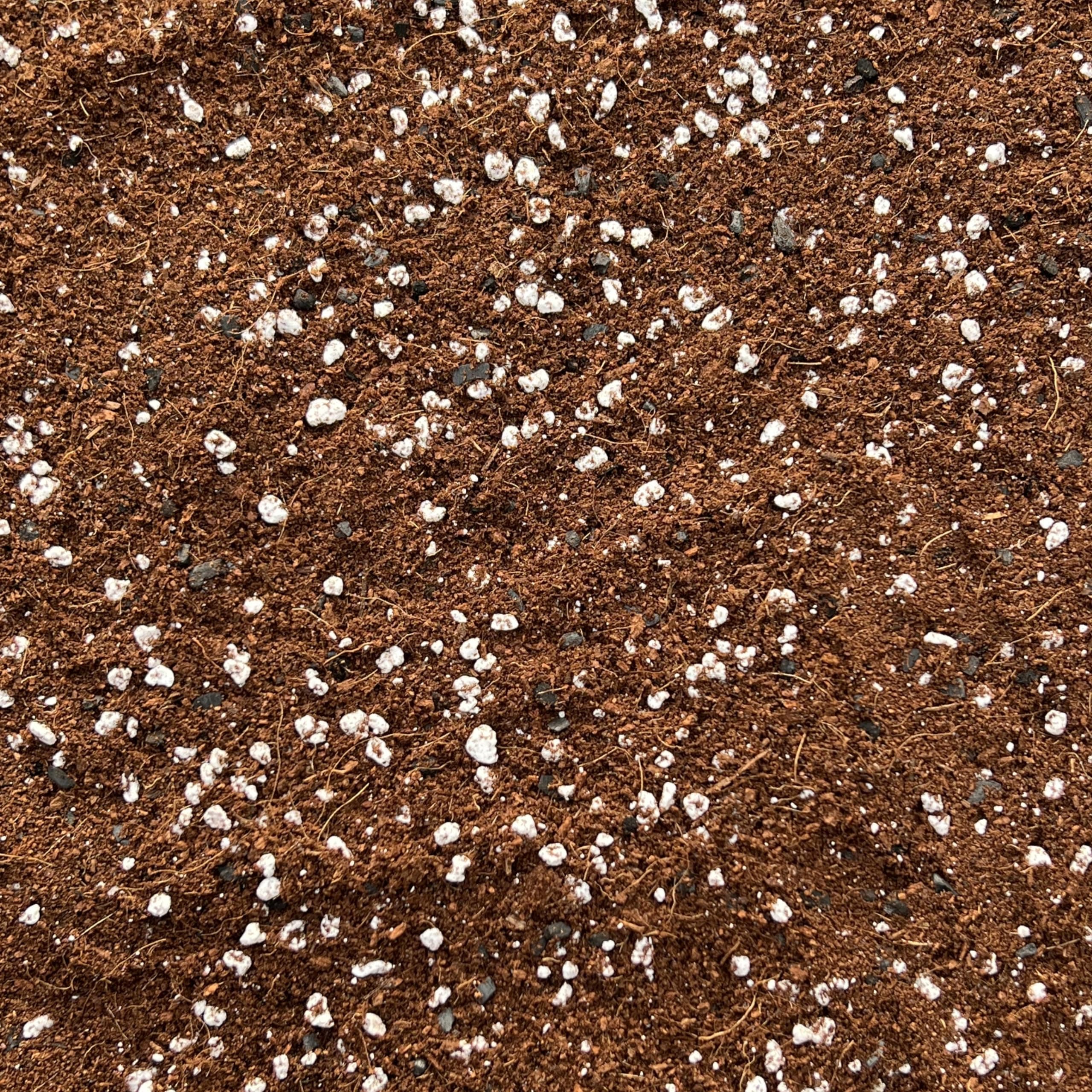 Premium Terrarium Potting Mix with Perlite & Activated Biochar – Nutrient-Rich Soil for Succulents, Moss, Air Plants & Tropicals – Superior Drainage, Root Health (1L)