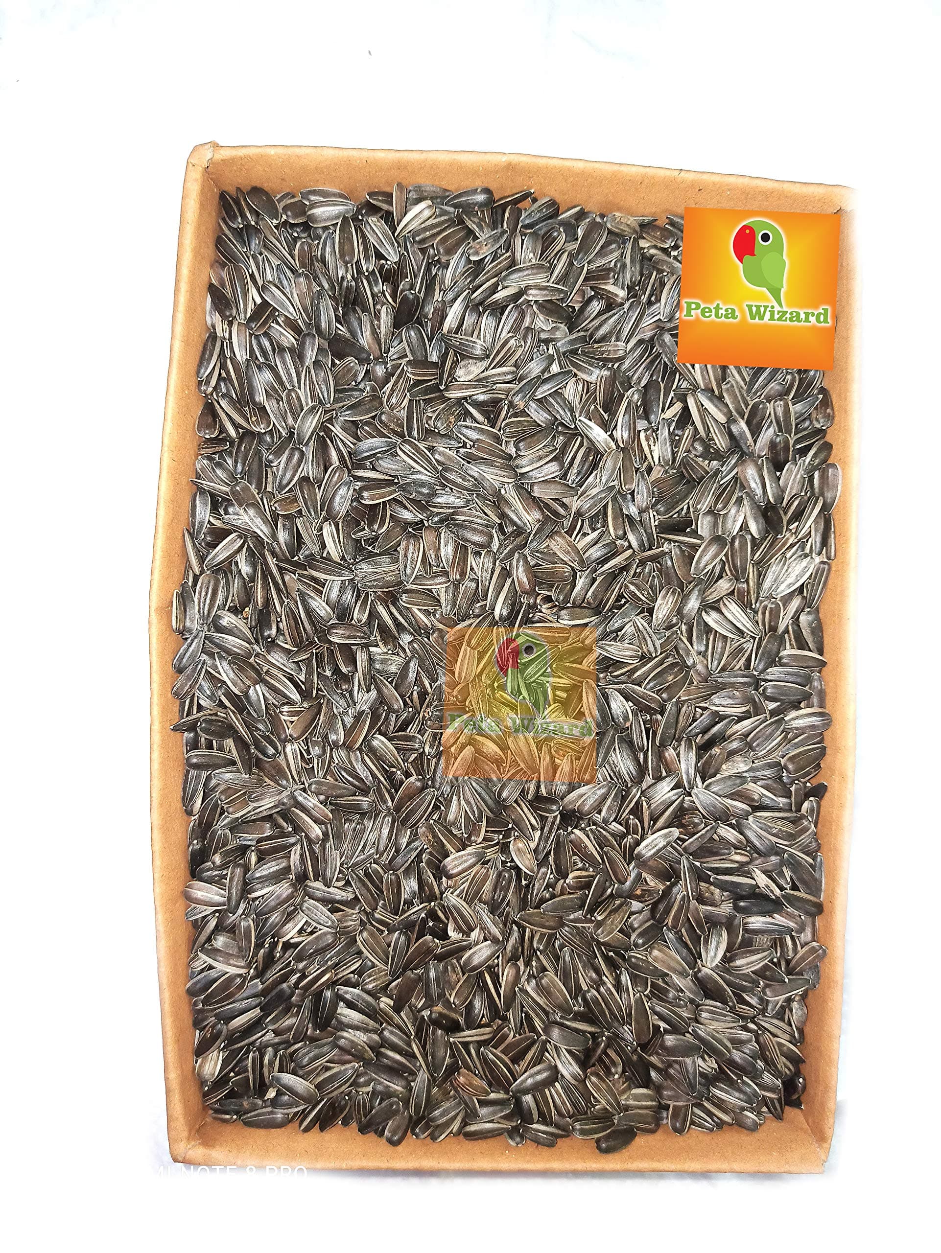 Small Size Sunflower Seeds for Bird, [900 gram]