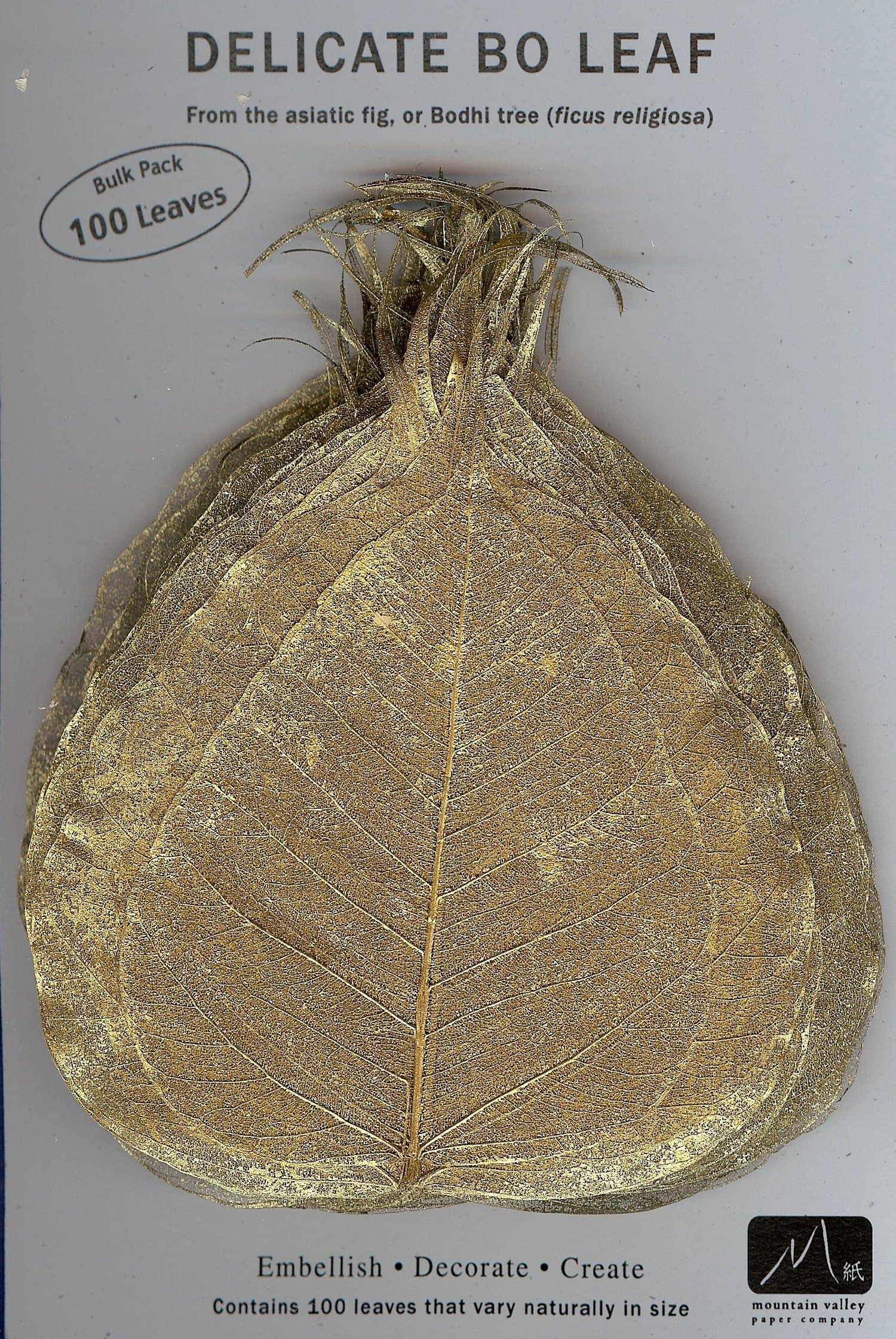 Gold BO Leaf - Pack of 100 Skeleton Leaves