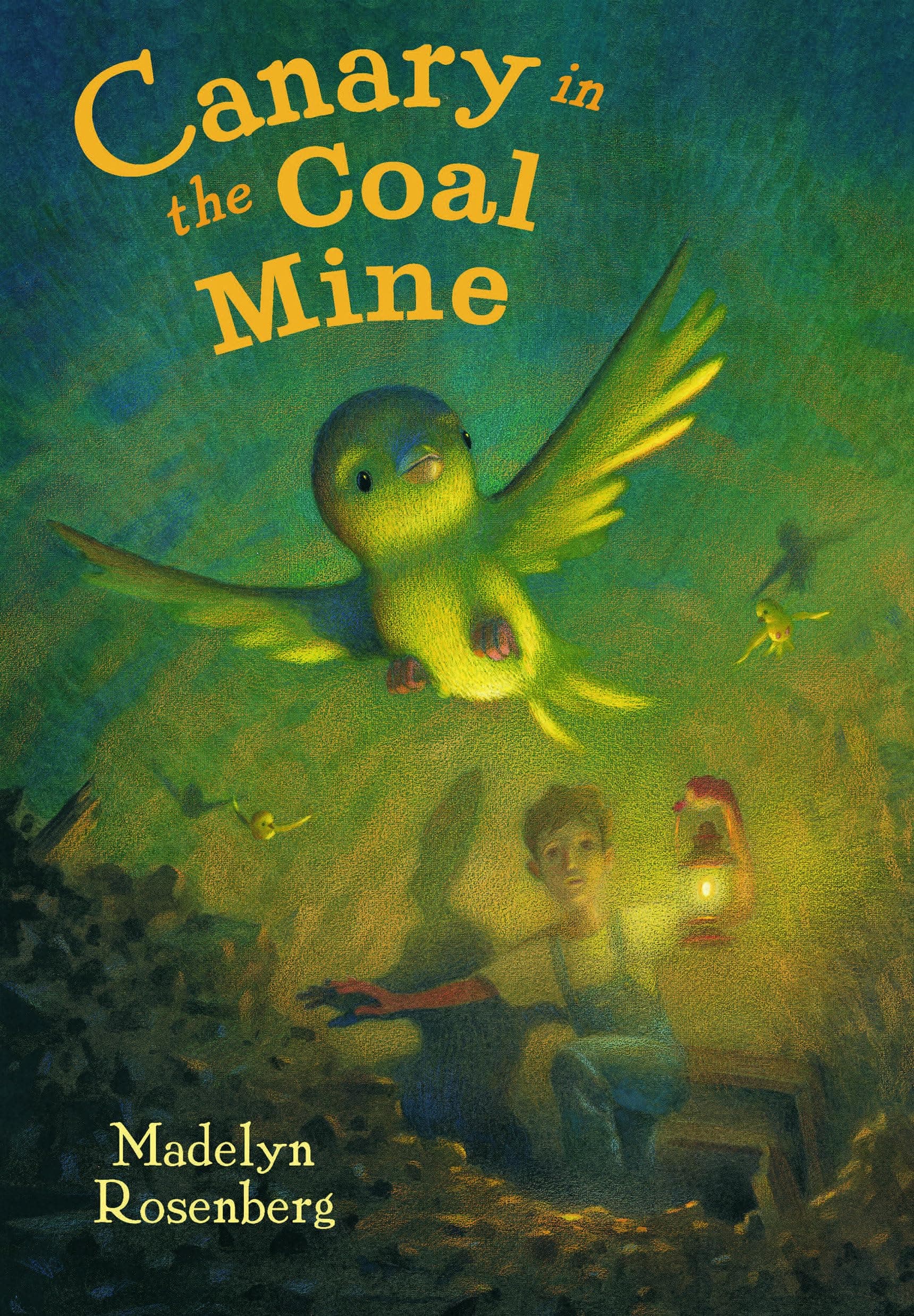 Canary in the Coal Mine Hardcover – May 1, 2013