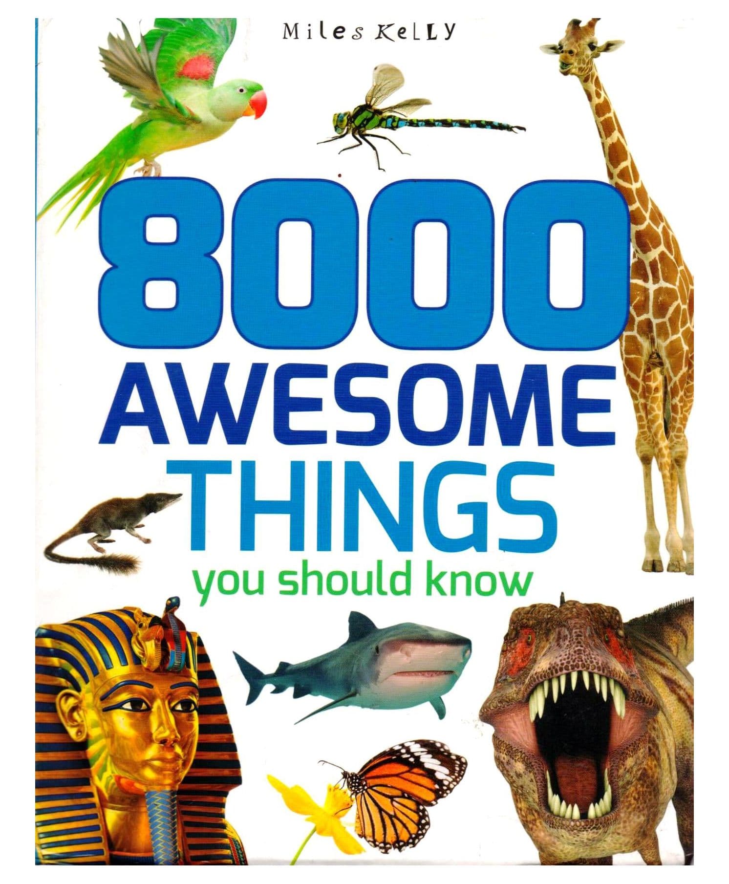 8000 Awesome Things You Should Know - English
