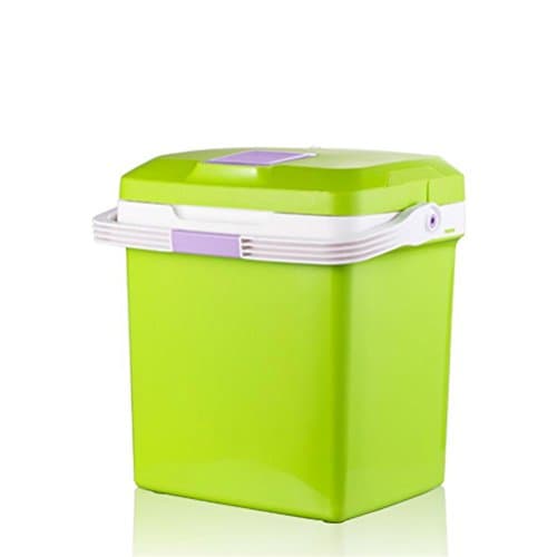 RIRI Portable 12V car refrigerator Portable Cooler mini fridge, 2