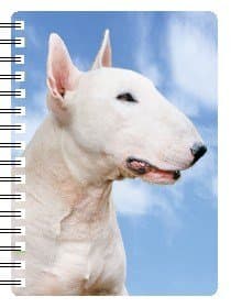 Bull Terrier (White) gift - Handbag/Pocket size notebook approx. 6" x 4". Quality Spiral bound Notebook with stunning 3D front cover