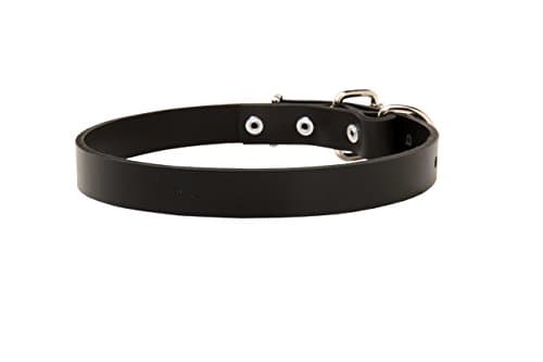 38 inch Thin Brown Leather Dog Collar - 1 inch (2.5cm) wide