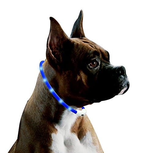 LED Dog Collar, USB Rechargeable Light Collar Waterproof, Ultra Bright Luminous Dog Safety Collar, Size Adjustable Cut to Fit Any Size Dogs. (Blue)
