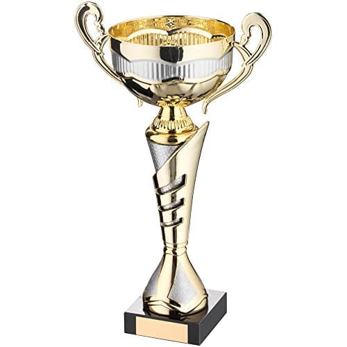 Cup Trophy Europa Range - 13.5" - Gold and Matt Silver Bowl With Handles on Black Marble Base DC