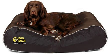 Dog Doza Waterproof Active Style Dog Bed