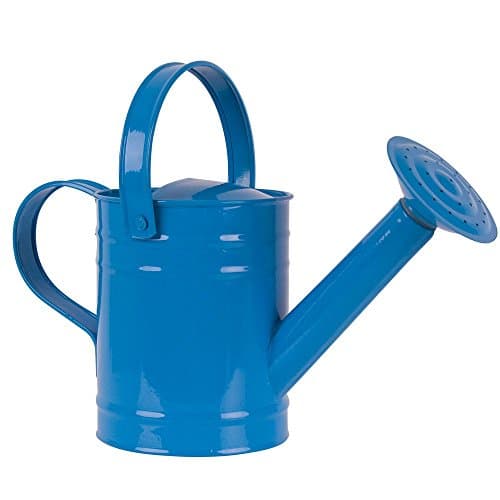 Twigz Childrens Gardening Tools 0806 Watering Can (Blue)