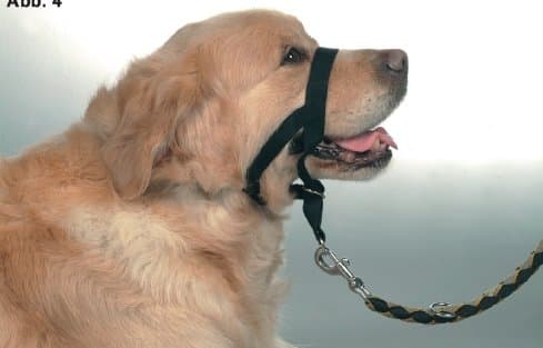 Stop Ypur Dog Pulling Easy Leader Halter Head Collar Harness (Extra Extra Large)