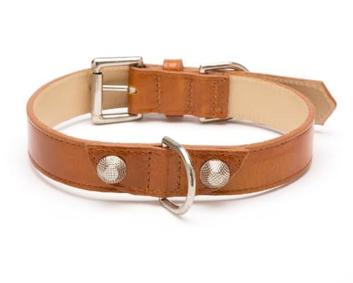 Balencioochee Straight Dog Collar, Rivets, Extra Small Size 8, Cumin with Silver Rivets
