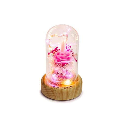 LED Bluetooth Speaker Wishing Bottle – Zikken Decoration LED Night Light, Eternal Flower Glass Dream Streamer Bottle, Mini Bluetooth speaker, Gifts for Lover, Friends