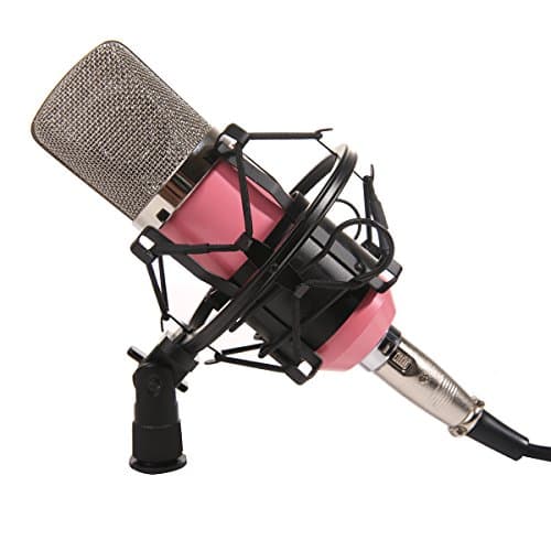 Dolotu BM Series Dynamic Condenser Microphone Sound Studio Recording Mic+ Shock Mount + Microphone Windshield- Professional Studio Broadcasting & Recording Microphone SetEnjoying Singing Speaking High Party (BM700, Pink)
