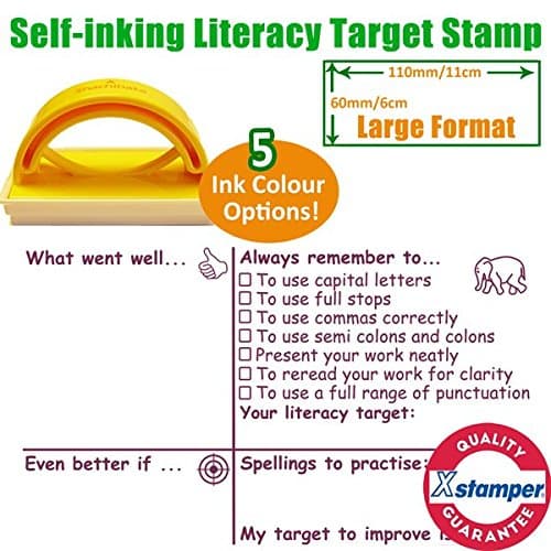 Literacy Target Teacher Stamp - Large Format 6x11cm (Violet)