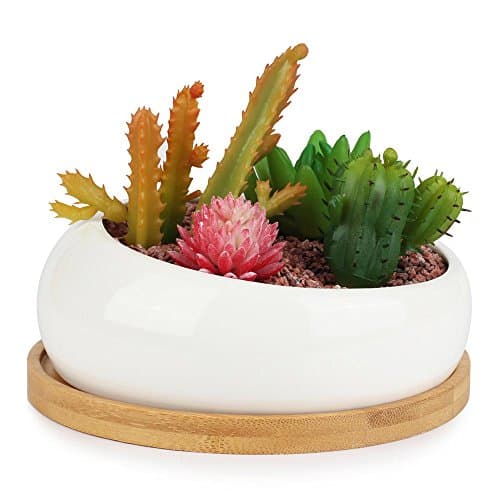 Innoter Modern White Ceramic Succulent Planter, Decorative Cactus Flower Pot (Bevel Connection)