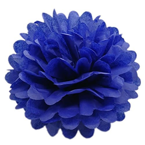 SYOO 10x Blue Pom Pom Pompom Pompon, Diameter 25cm, Tissue Paper Decoration for Bedroom Wedding Birthday Kids Party Baby Shower Baptism Christmas