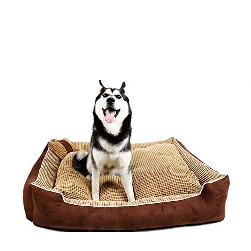 HappierGo Durable Bottom Waterproof Pet/Dog Bed, Ultra Soft Comfortable Mattress with Corn Pillow, Removable Designer Washable Cover (Medium)