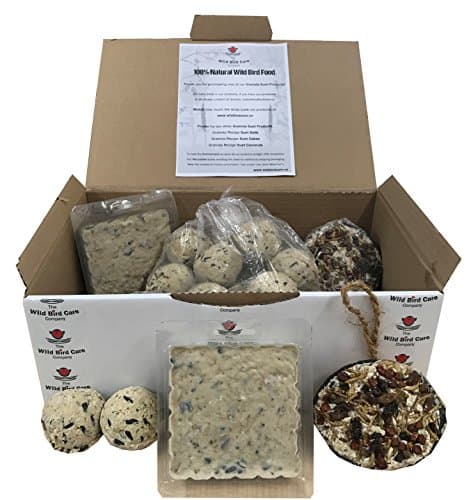 The Wild Bird Company Suet Selection Gift Box - 2 x Granola Suet Fat Coconuts - 2 x Granola Suet Fat Cakes Blocks - 16 x Granola Suet Fat Balls