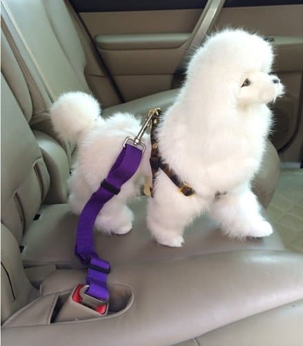 Dog Car Seat HarnessSafety Harness Adjustable Retractable Safety Solid Nylon (Purple)