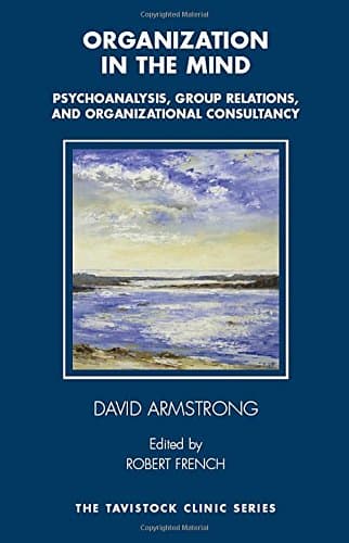 Organization in the Mind: Psychoanalysis, Group Relations and Organizational Consultancy (The Tavistock Clinic Series)