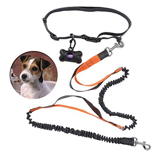 Yobee Multifunctional Dog Leash Kits, Dual Use Hands Free or Hand Held, Adjustable Walking/Running/Jogging/Bungee/Hiking/Training Leashes Suit for Most Dog Sizes, with poo bags