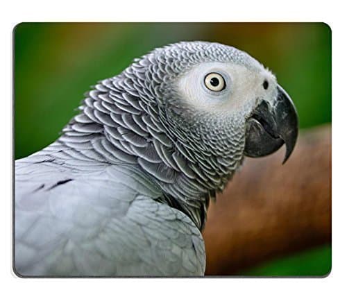 Jun xt Mousepads Beautiful grey parrot African Grey Parrot Psittacus erithacus face profile IMAGE 21065755 Customized Art Desktop Laptop Gaming mouse Pad by Jun xt